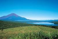 富士山ビューポイントめぐりと富士山麓のそば処ランチ