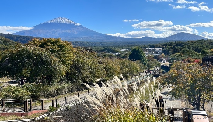 西湖いやしの里根場