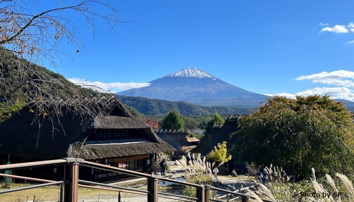 西湖いやしの里根場