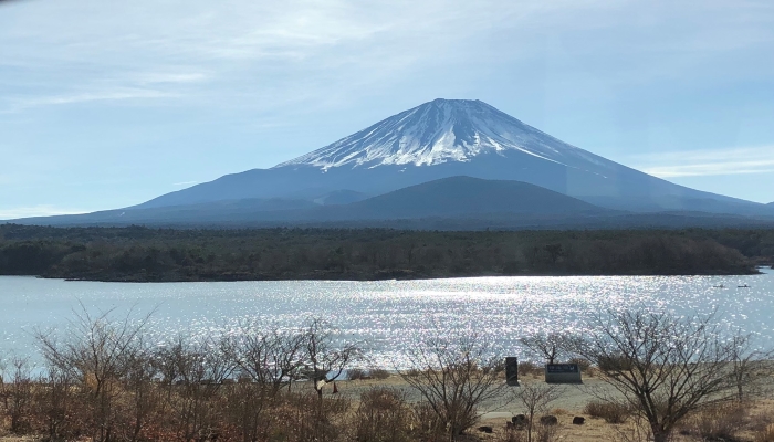 Lake Shojiko