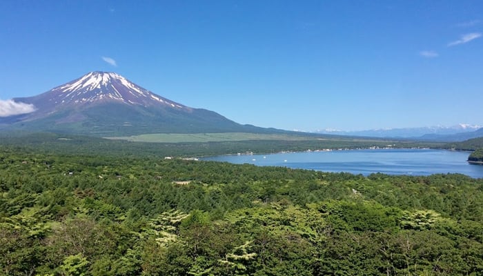 Visiting Mt. Fujis viewpoint, and having lunch at Soba restaurant at the foot of Mt. Fuji.