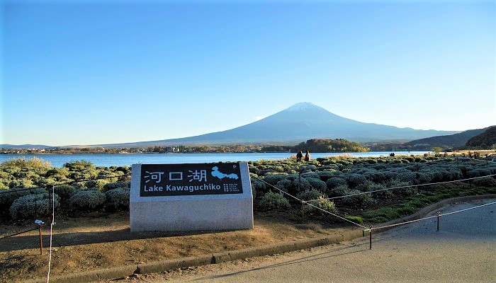 Fuji Five Lakes Tour Course